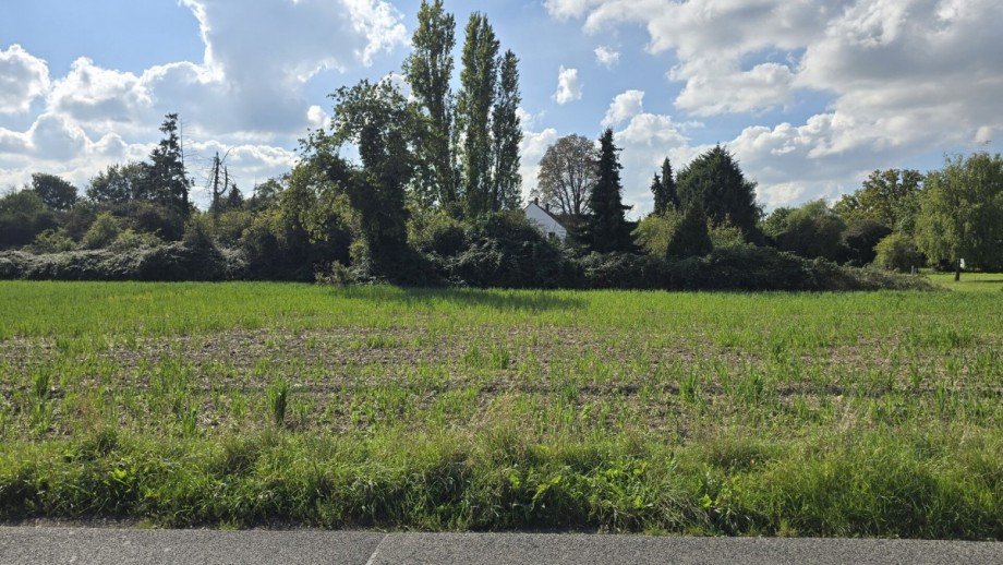 Grundst�ck Wohngrundst�ck M�nchengladbach / Gro�heide